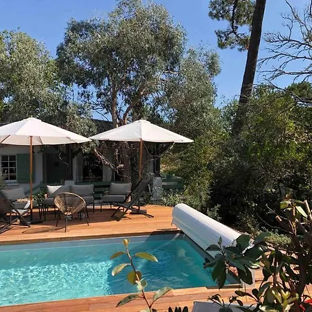 Arcachon/abatilles Piscine / Lisiere Foret Villa